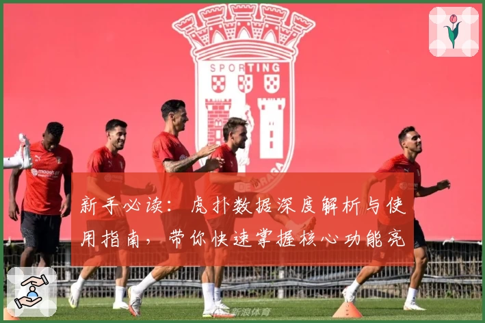 新手必读:虎扑数据深度解析与使用指南,带你快速掌握核心功能亮点