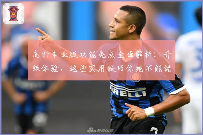 虎扑专业版功能亮点全面解析：升级体验，这些实用技巧你绝不能错过！