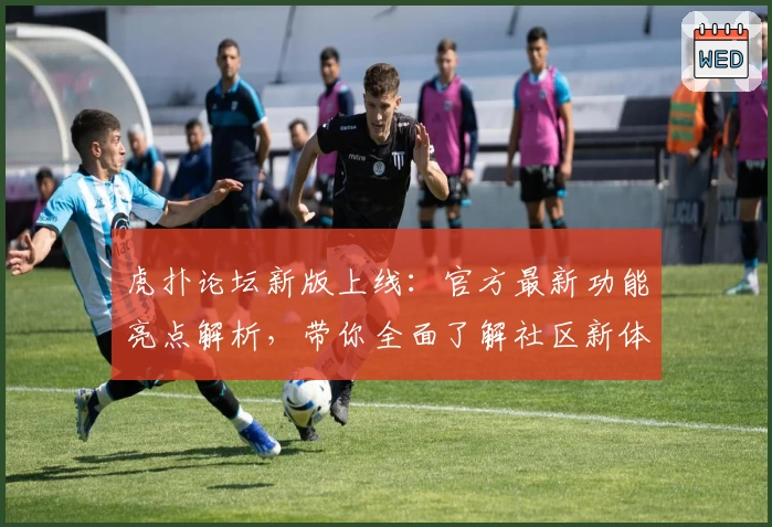 虎扑论坛新版上线：官方最新功能亮点解析，带你全面了解社区新体验